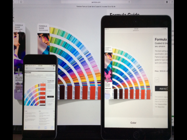 Physical Reference/Electronic Device Inconsistency - One of the Color Assessment Mistakes