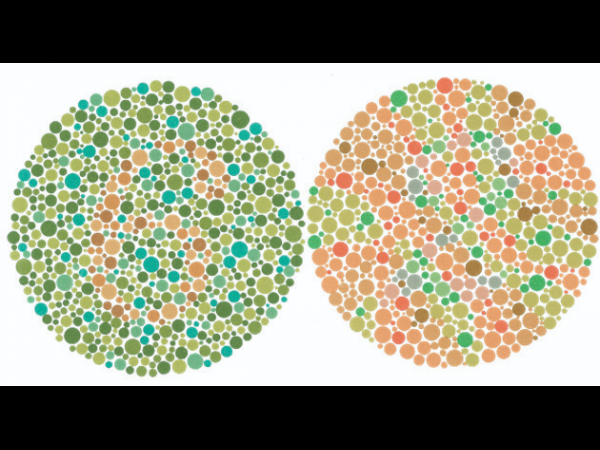 Color Deficiency - One of the Visual Color Assessment Errors