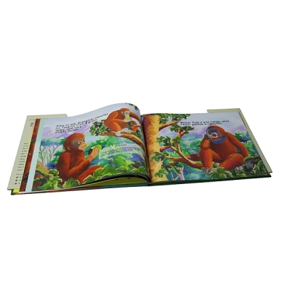 Full Color Children‘s Book Bedtime Story Books For Kids Book Printing