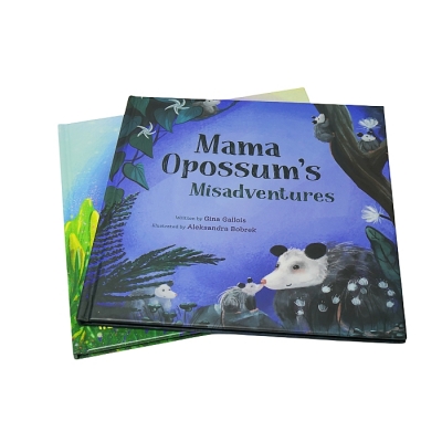 Book Printing Service Hardback /Softcover Full Color Offset Kid Books