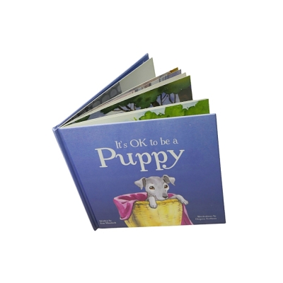 Customized Hardcover Children Story Books Kid‘s Story Book Printing