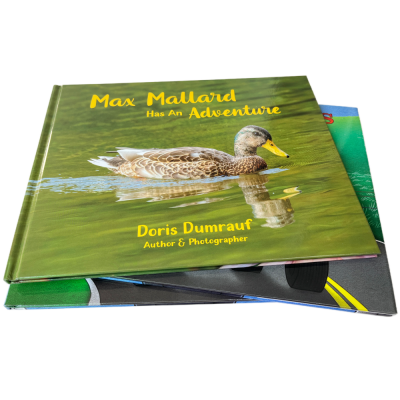 China Factory Hardback Restaurant Menu Customizable Landscape Real Photo Hardcover Wedding Book Printing